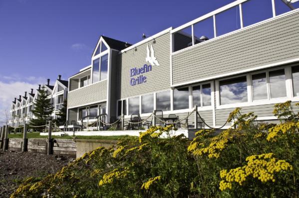 Bluefin Bay On Lake Superior Tofte Exteriör bild